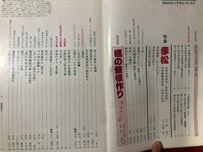 ｍ〇〇 盆栽世界 1981.2 特集：赤松 昭和56年2月発行 /I87の画像2