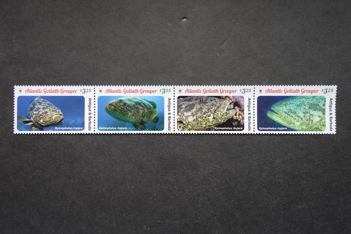 外国切手：アンティグア・バーブーダ切手 「ゴリアテハタ」4種連刷 未使用_画像1