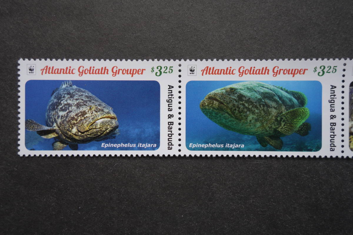 外国切手：アンティグア・バーブーダ切手 「ゴリアテハタ」4種連刷 未使用_画像2