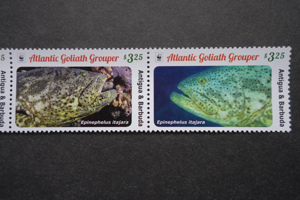 外国切手：アンティグア・バーブーダ切手 「ゴリアテハタ」4種連刷 未使用_画像3