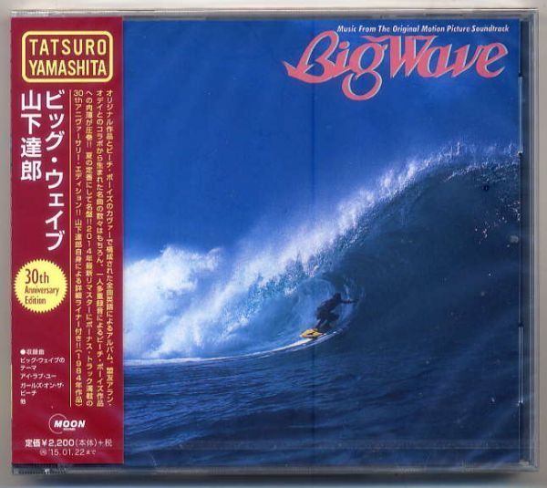 ☆山下達郎 「ビッグ・ウェイブ BIG WAVE 30th Anniversary Edition