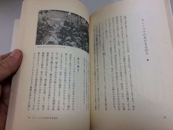 ●P119●自然観察ガイダンス●矢野亮●筑摩書房●1983年初版1刷●自然動物植物見方親しみ方解説●即決_画像7