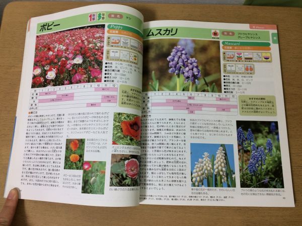 ●K232●園芸百科●花観葉植物ハーブ育て方●2000年4刷●ブティック社●即決_画像6