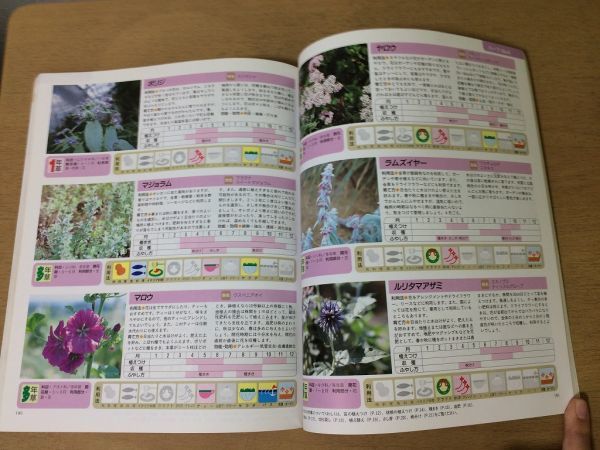 ●K232●園芸百科●花観葉植物ハーブ育て方●2000年4刷●ブティック社●即決_画像9