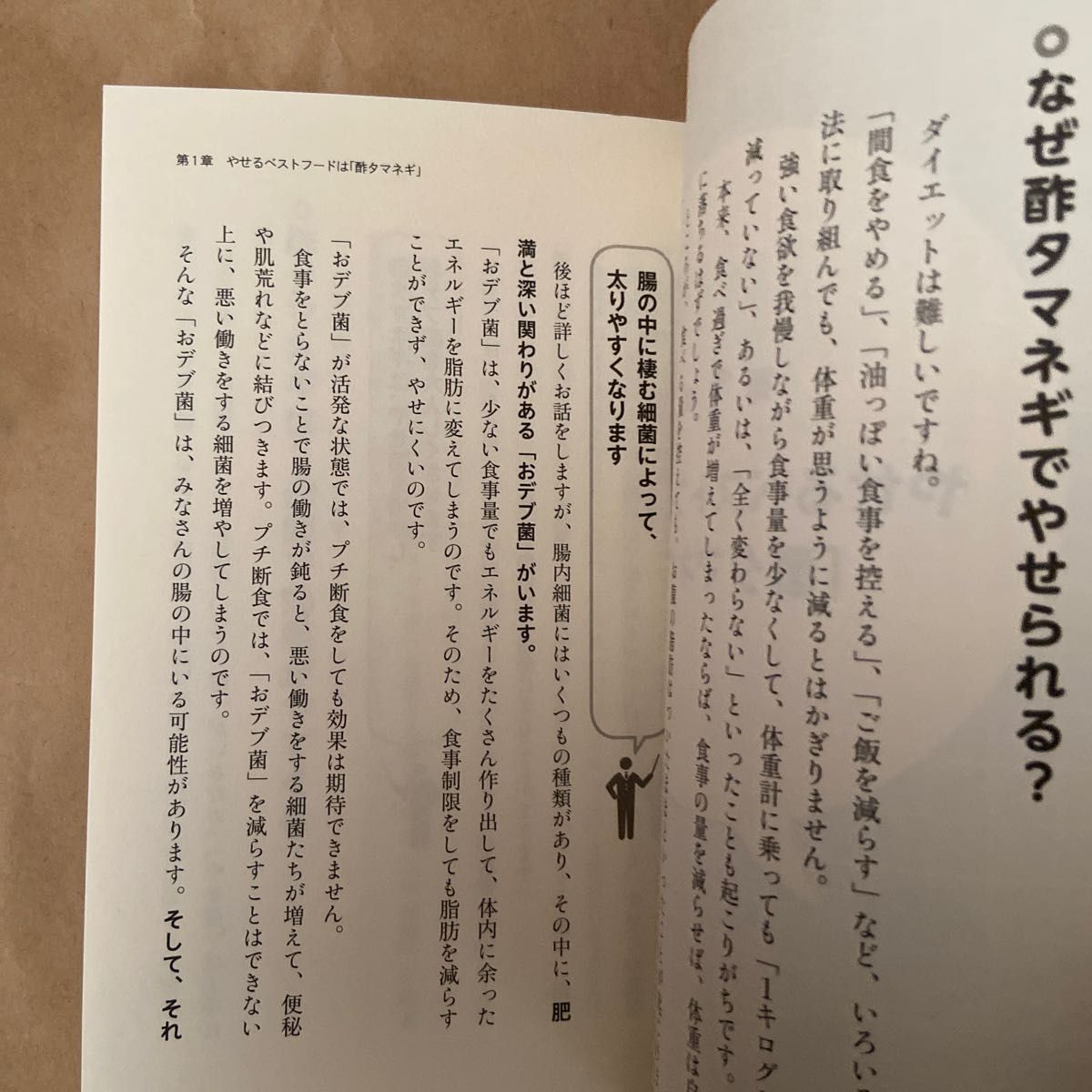 １０００兆匹の腸内細菌を使って１０キロ楽にやせる方法　ヨーグルト・ホエイと酢タマネギが効く！ 藤田紘一郎／著