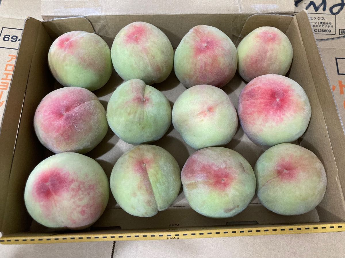 209 数量限定福島県産摘果桃 若桃 加工用 硬い桃箱込み約1 5kg 送料込