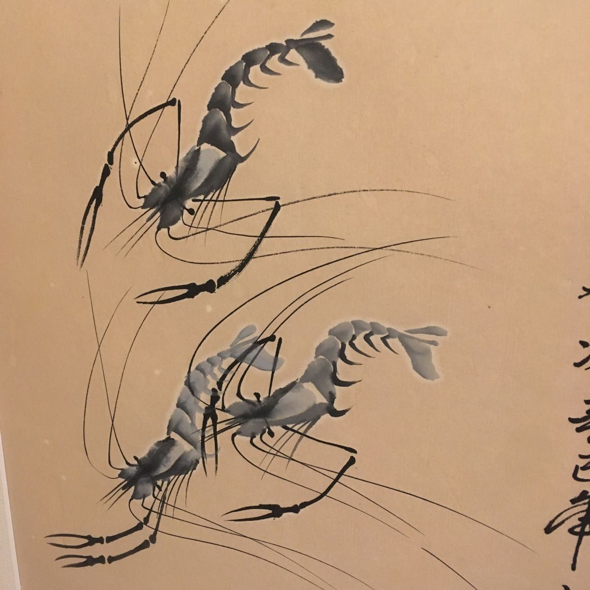 海老の水墨画 中国 水墨画 肉筆画 絵画 | www.rkinstruments.com.sg
