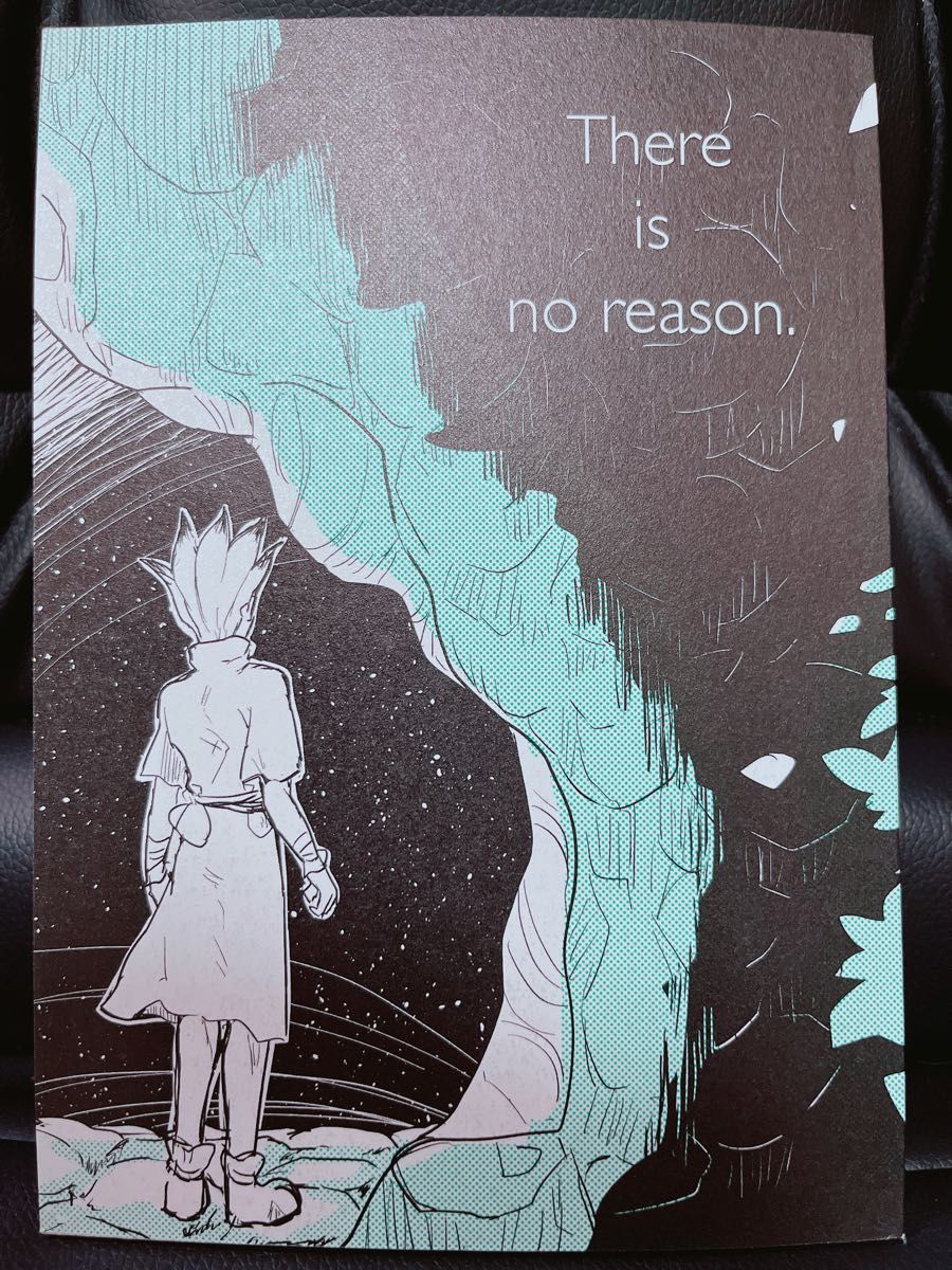 Dr.STONE 同人誌 There is no reason 千空×ゲン 千ゲ