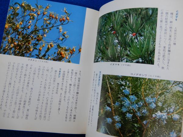 1▲ 木の実・草の実 室井綽,巽英明 / カラーブックス 433 昭和53年,初版,元ビニールカバー付 ※書き込み,線引き有の画像5