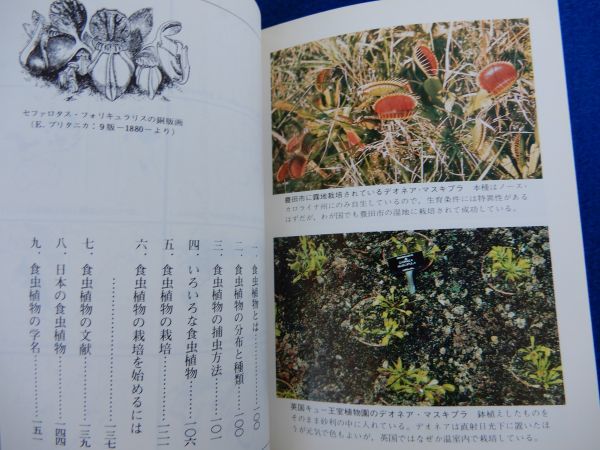 2▲　食虫植物　山川学三郎　/ カラーブックス 446 昭和53年,初版,元ビニールカバー付_画像6
