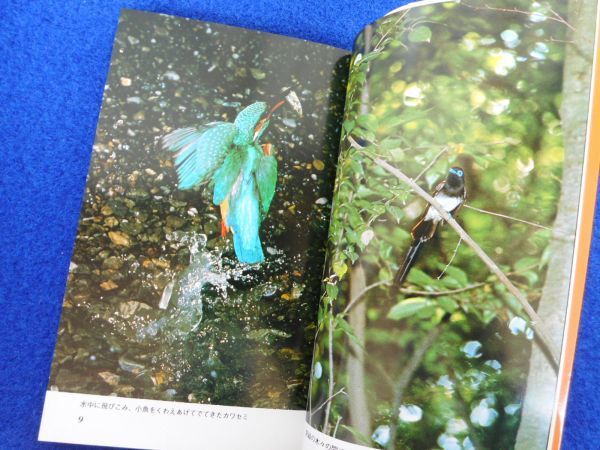 ◆1 　バードウォッチング 鳥の生態と観察　樋口広芳　/ 平凡社カラー新書 1979年,初版,カバー付_画像8