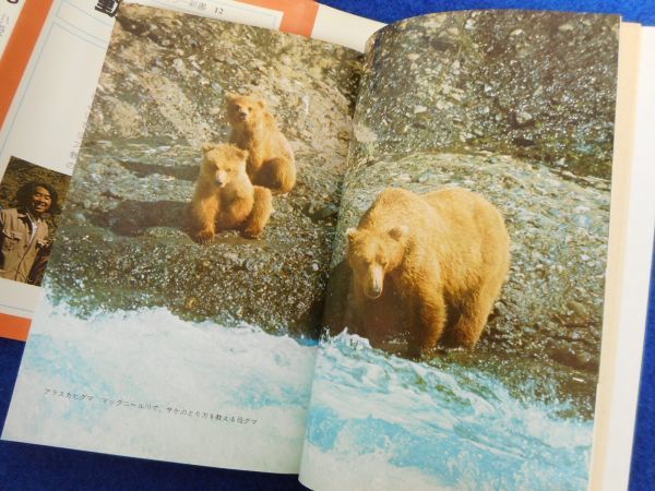 *1 животное. ... маленький . превосходящий самец, перо ../ Heibonsha цвет новая книга 1975 год, первая версия, с покрытием 