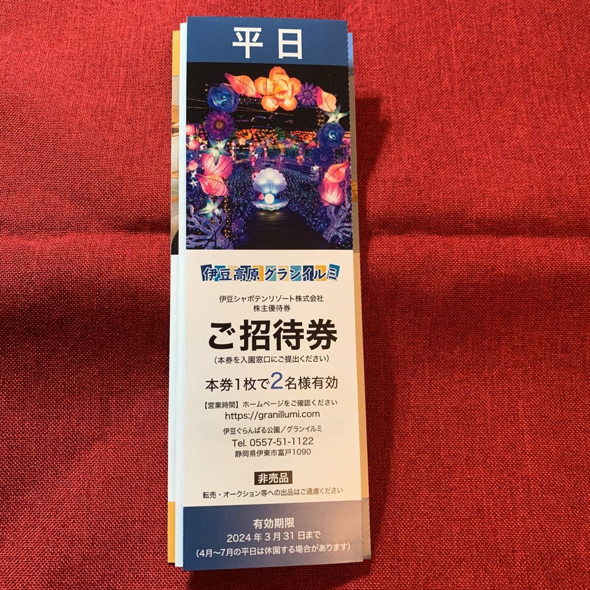 伊豆シャボテン　伊豆ぐらんぱる公園　1枚2名様 平日　ご招待券　株主優待　gy