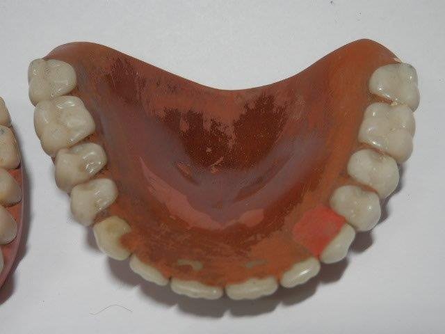 古い義歯 入れ歯 時代物 0722V4G_画像5