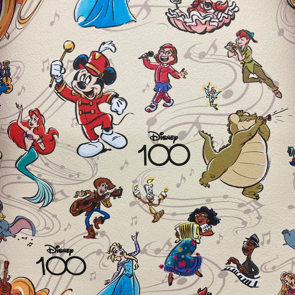 ディズニー 100周年 ミッキーマウス バンド ラウンジフライ リュック ミラベル ウッディ ラプンツェル アリエル エルサ