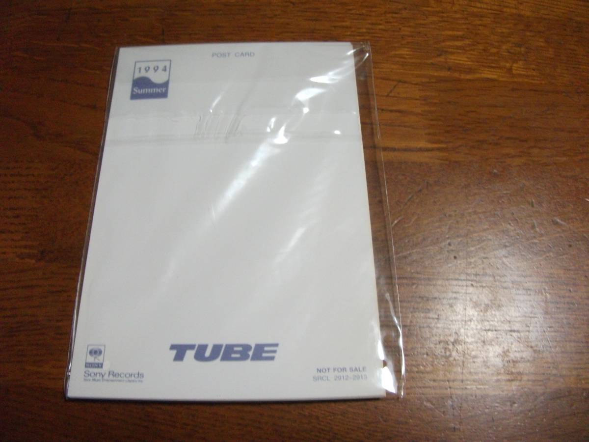 【CD】　TUBE　/　終わらない夏に　初回限定盤特典付き_画像9