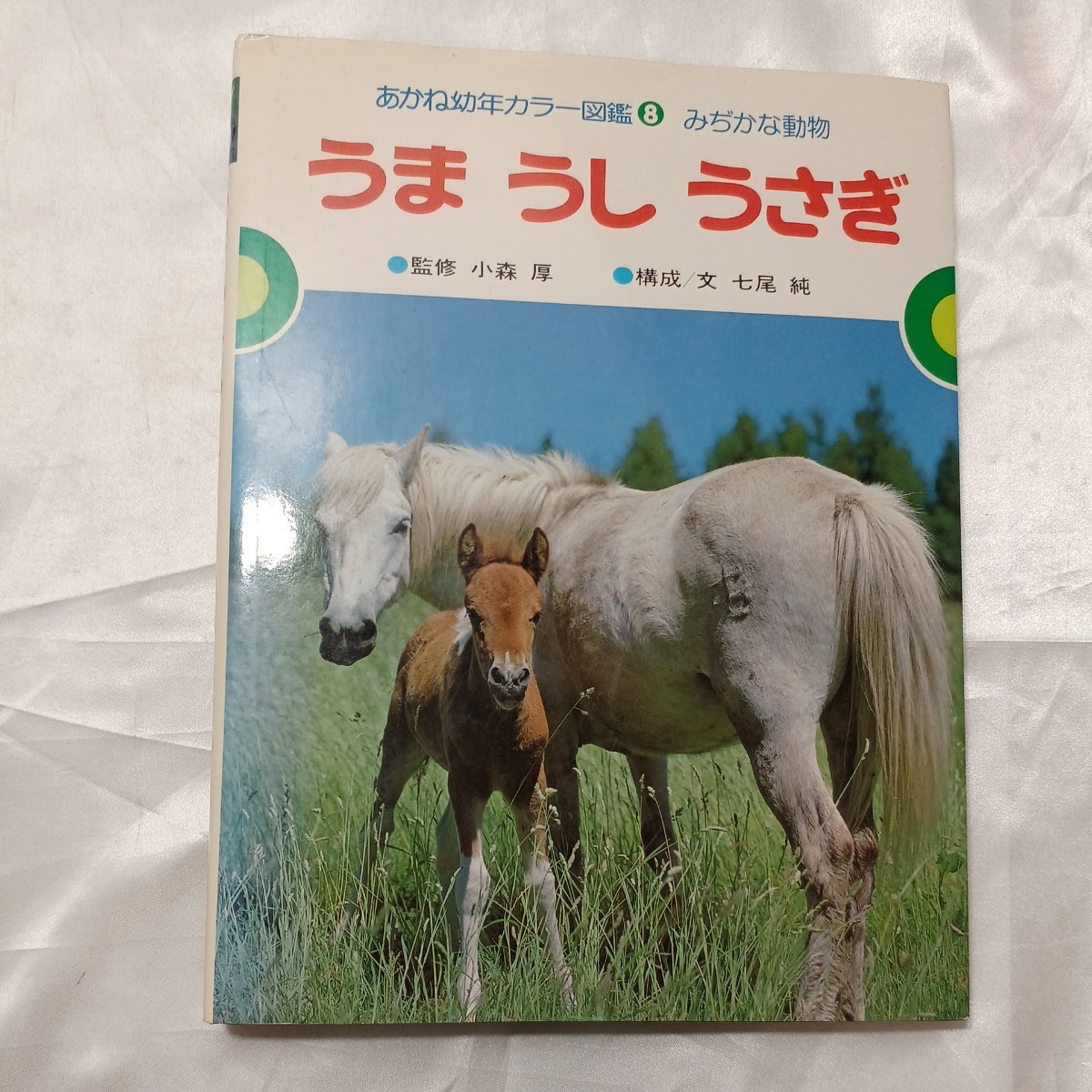 zaa-474♪うま・うし・うさぎ あかね幼年カラー図鑑8 みじかな動物 七尾純(著) あかね書房 (1982/2/15)