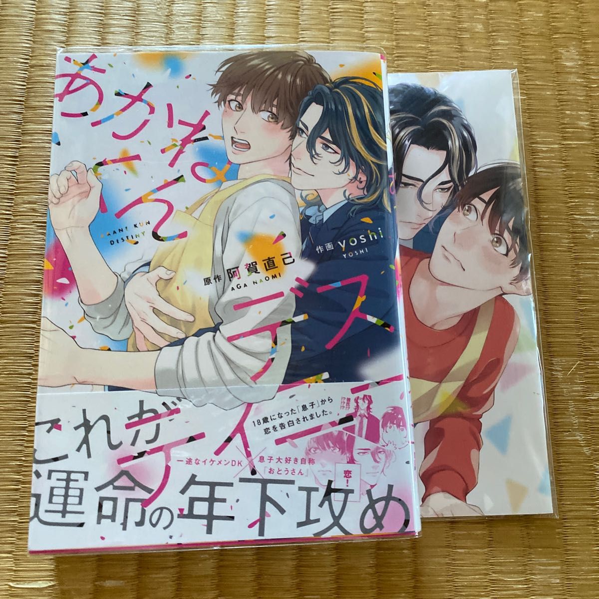 あかねくんデスティニー (書籍) [幻冬舎] とらのあな