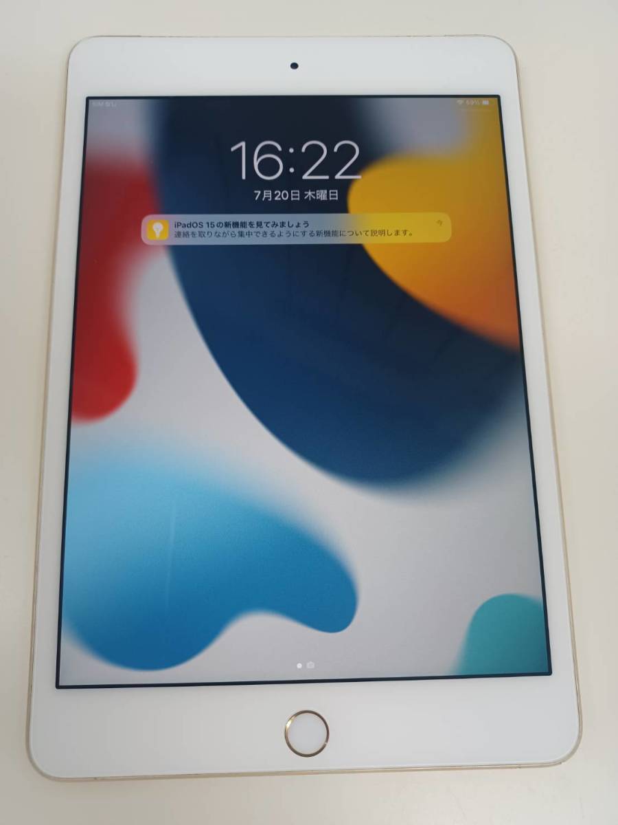 新発売の 【SIMロック解除済】iPad mini 4 MK752J/A(A1550) 64GB iPad