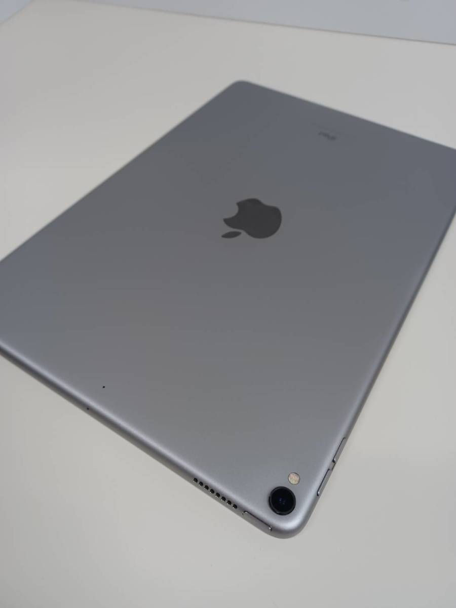 ジャンク品】iPad Pro 10.5インチ MQDT2J/A (A1701)-