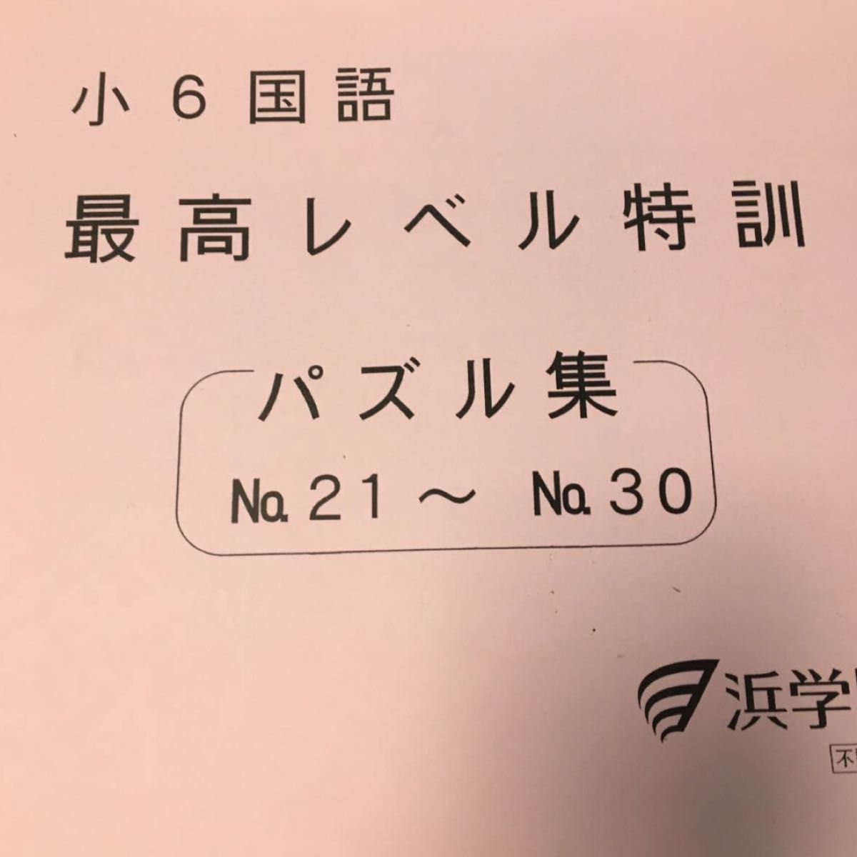 浜学園 パズル集 小6 最高レベル特訓 国語 No.21～No.30-