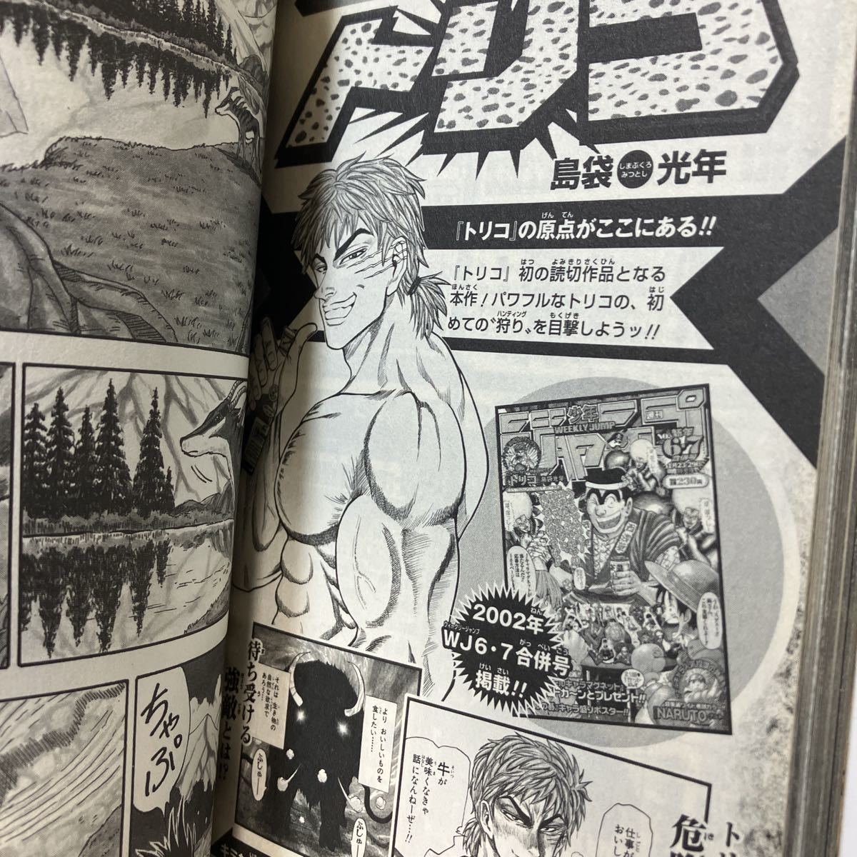 *книга@ manga (манга) [ нераспечатанный карта имеется Toriko гурман охота книжка ] остров пакет свет год itadakima Star Card Jump аниме игра .