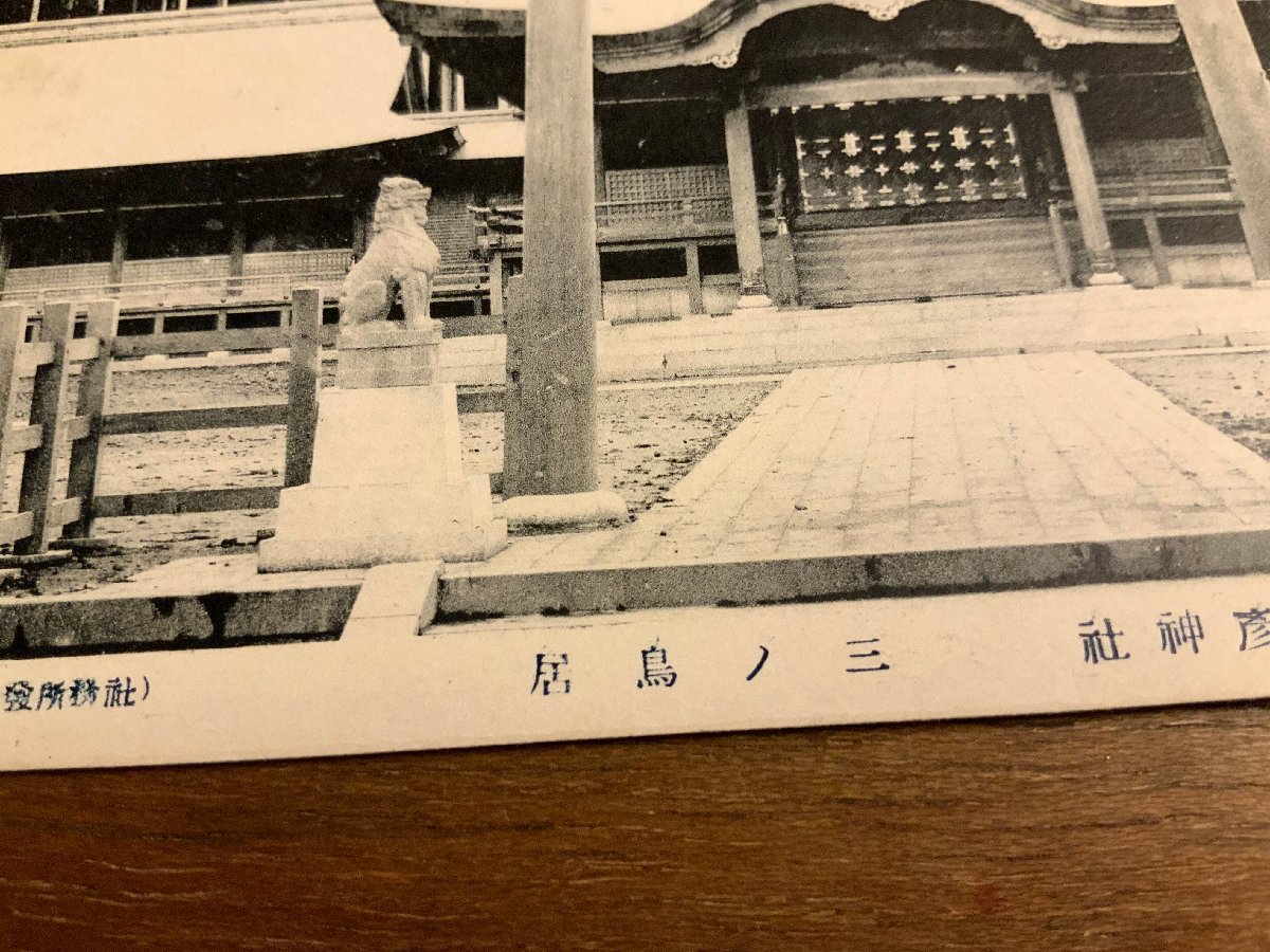 FF-4800 ■送料込■ 新潟県 国幣中社 彌彦神社 弥彦神社 三の鳥居 狛犬 建築物 建物 神社 寺 宗教 風景 戦前 絵葉書 写真 古写真/くNAら_画像3