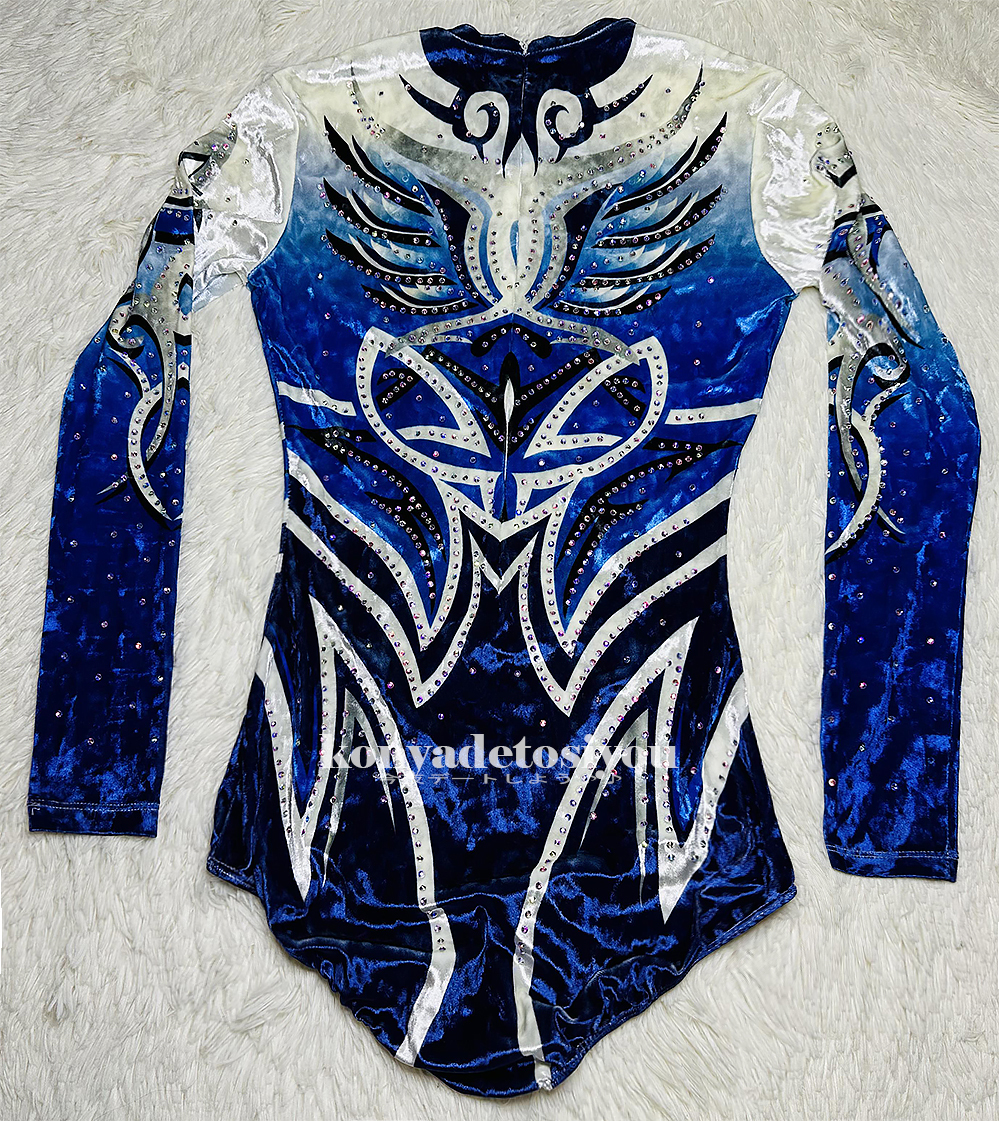 送料210円 LJH0708 入手困難 中古品 オーダー体操服 競技ダンス 器械