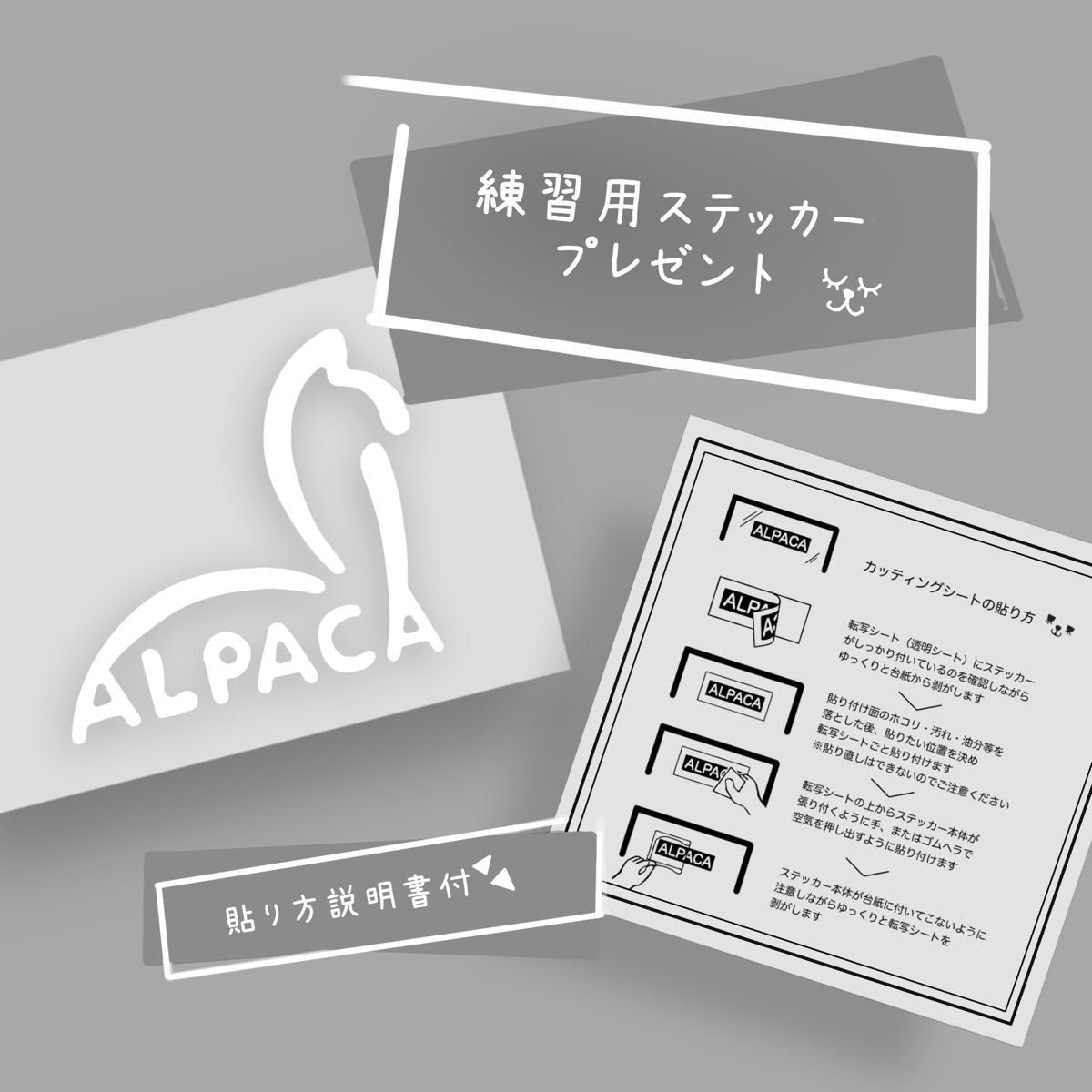 名前入れ☆いるか【練習ステッカー付】ネームステッカー　シール　ペット　動物