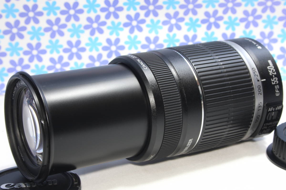 極上美品☆Canon キャノンEF-S 55-250mm IS☆手振れ補正☆超望遠レンズ