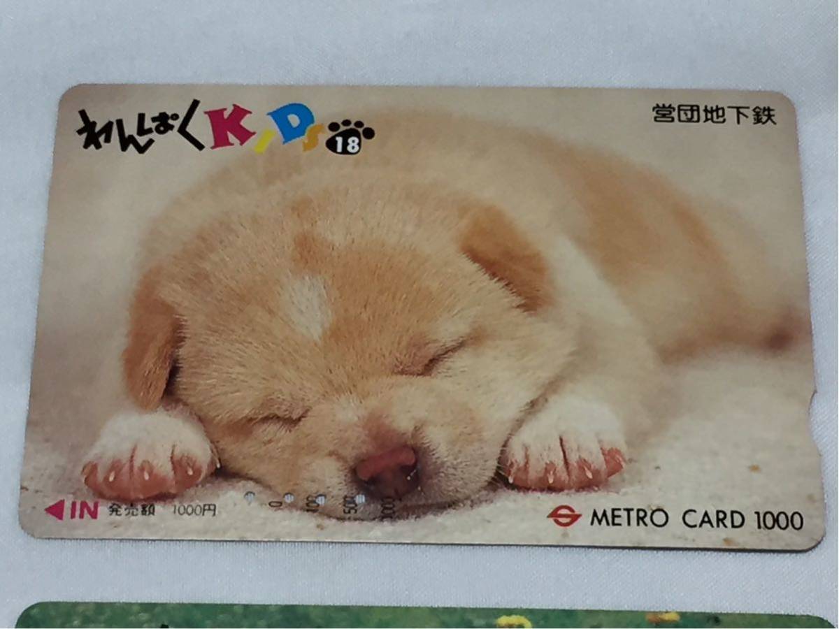 使用済み☆メトロカード（わんぱくKID 10，18） 2枚 営団地下鉄_画像2