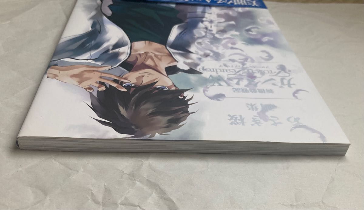 あさぎ桜 画集 新機動戦記ガンダムW フローズン・ティアドロップ あさぎ桜 画集 新機動戦記ガンダムW フローズン・ティアドロップ