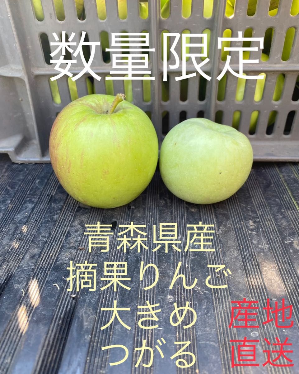59%OFF!】 青森県産 摘果りんご 10kg 加工用