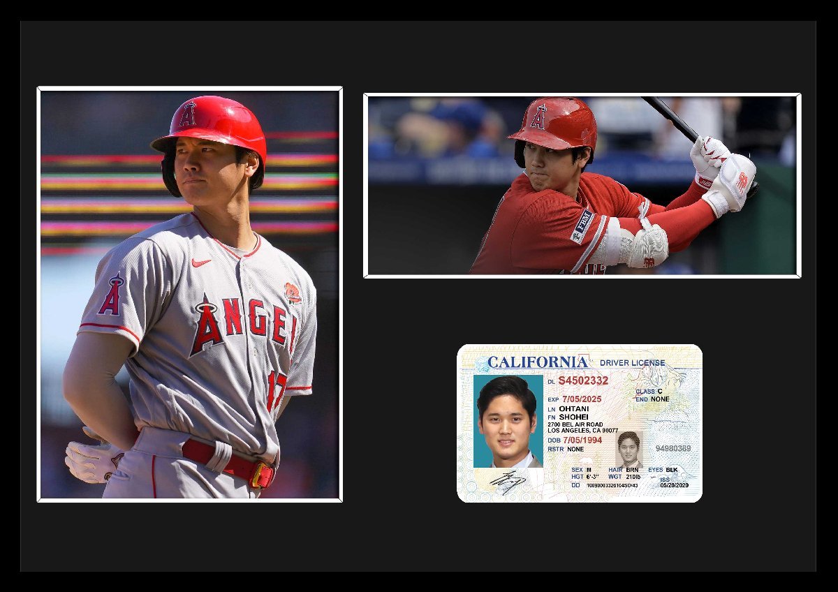 MLB Los Angeles *enzerus большой . sho flat ID карта есть принт & сертификат имеется рама / цвет / дисплей (1cc-3W)