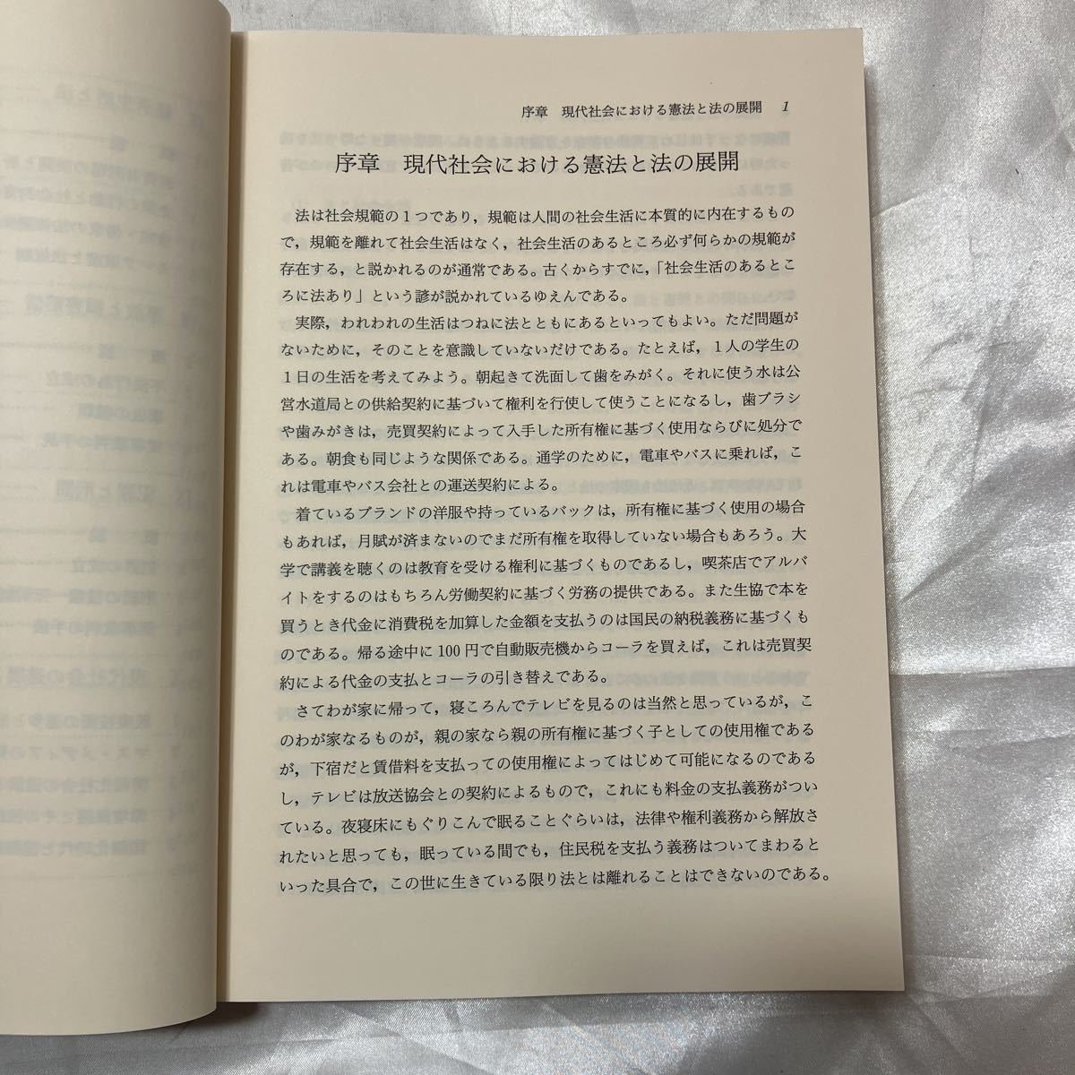 zaa-475♪現代社会の法―憲法と市民生活の法　 (単行本) 野川照夫(著)　啓文社(1994/9/1)_画像4