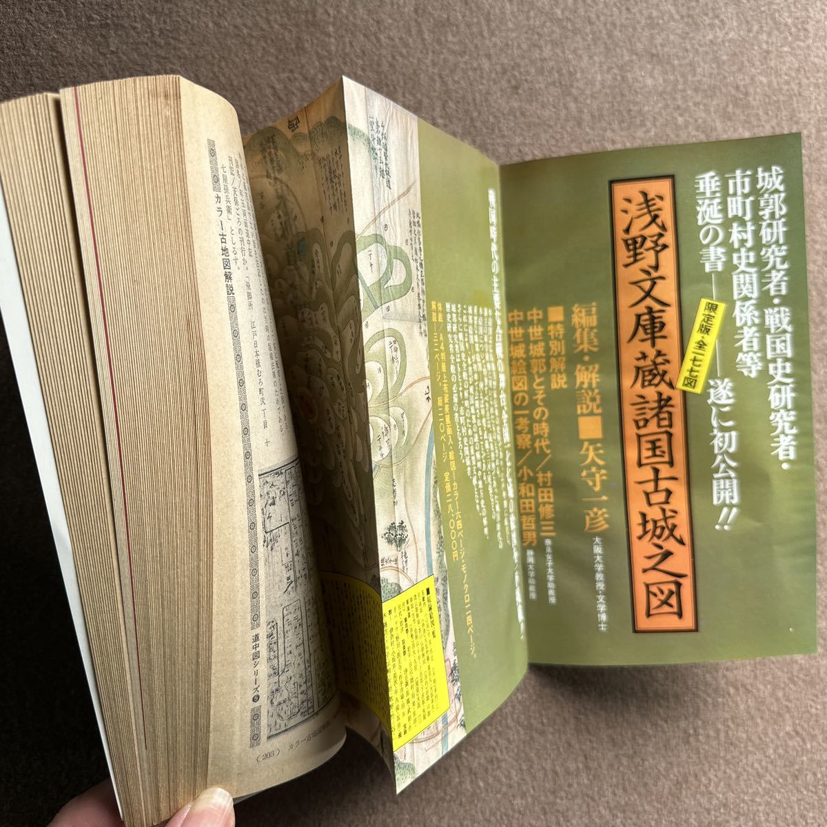 『221』◎（歴史読本 ）特集・戦国名将の夫人たち/昭和56年発行◎歴史書/古書/ほん/小説/漫画/雑誌/古史古伝