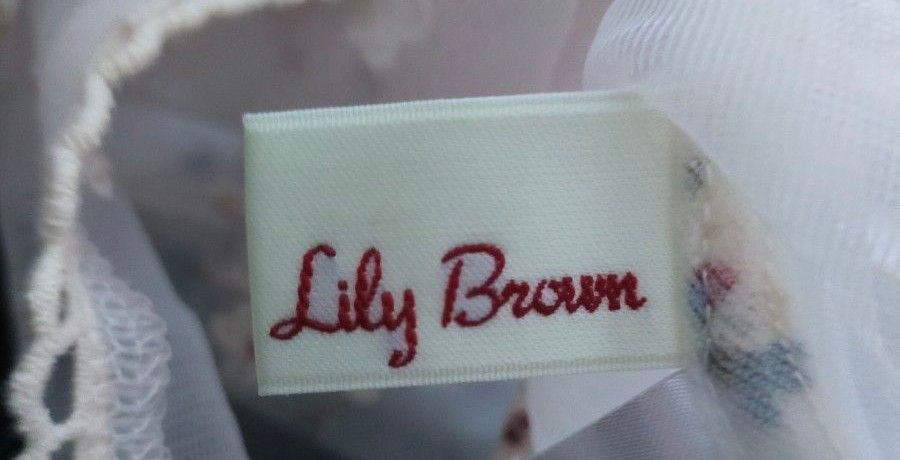 LilyBrown チュールフラワー ブラウス  シースルー snidel MERCURYDUO ホワイト 長袖 花柄 刺繍