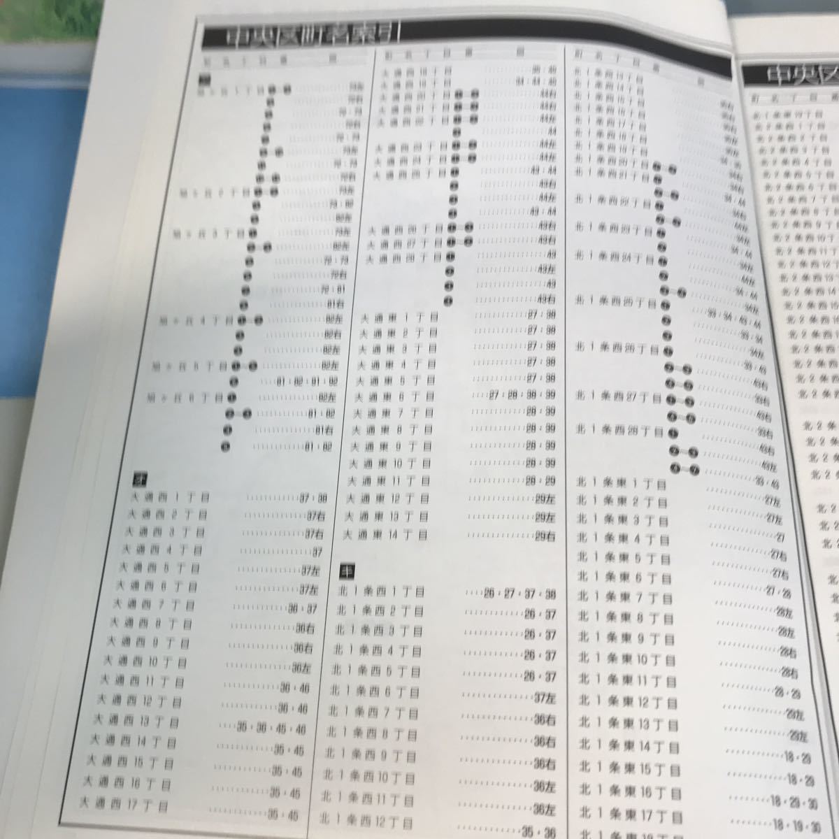 A52-119 札幌市 中央区 住宅地図〈ライト〉 2007-04 ジオ_画像6