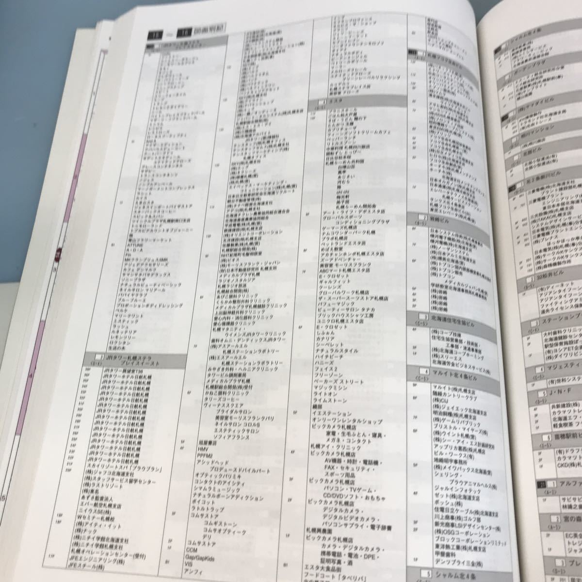 A52-119 札幌市 中央区 住宅地図〈ライト〉 2007-04 ジオ_画像8