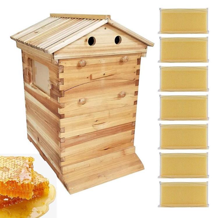 新しい到着 蜂の巣 蜜蜂飼育箱 ミツバチ巣箱 ★新作★蜜蜂巣箱 ミツバチ飼育箱 U85 養蜂用具 自動フレーム 巣脾 巣礎 ミツバチの採蜜 ミツバチ養殖 飼育ケース 新しい到着 蜂の巣 蜜蜂飼育箱 ミツバチ巣箱 ★新作★蜜蜂巣箱 ミツバチ飼育箱 U85 養蜂用具 自動フレーム 巣脾 巣礎 ミツバチの採蜜 ミツバチ養殖 飼育ケース