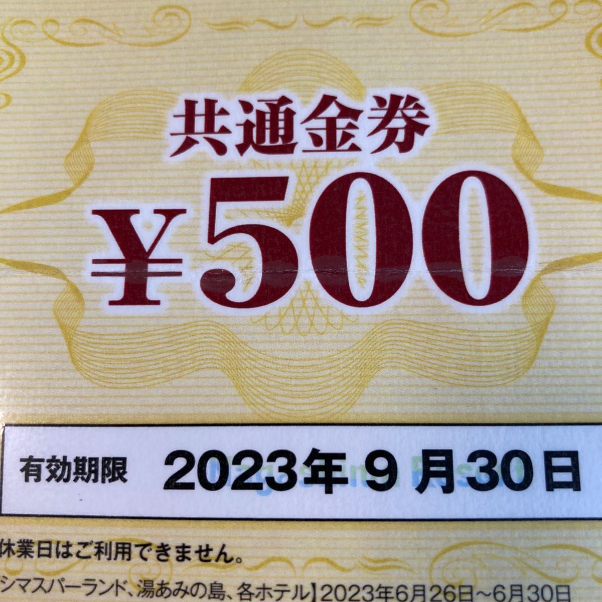 ナガシマスパーランド パスポート 3枚 共通金券500円分｜PayPayフリマ