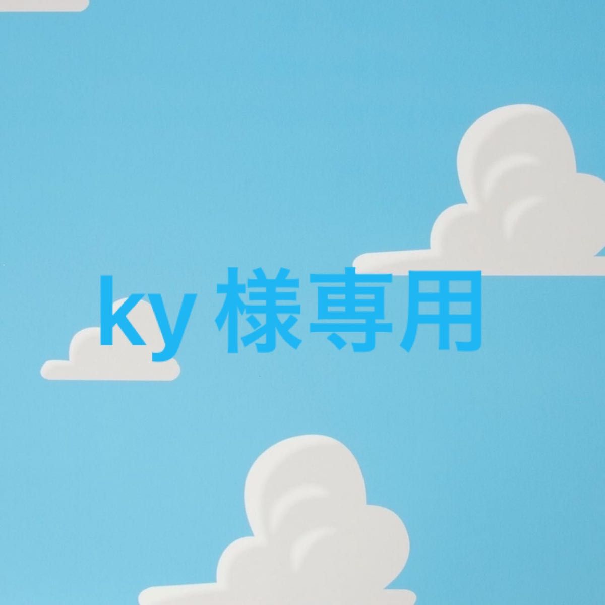 ky様専用です|Yahoo!フリマ(旧PayPayフリマ)