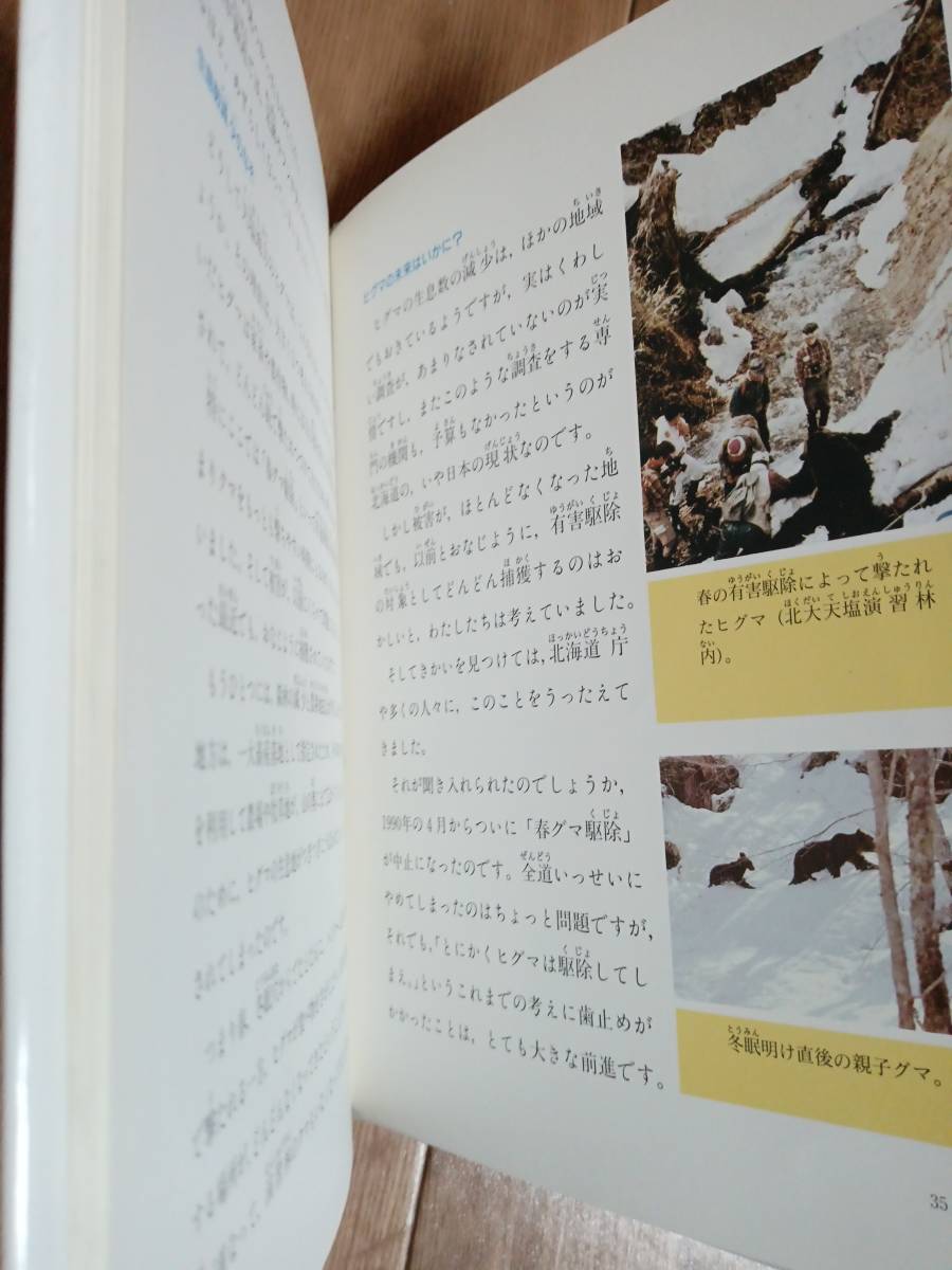 北の森にヒグマを追って―ヒグマ研究にかけた情熱 (子ども科学図書館)　青井 俊樹（絵）大日本図書　[f0305] _画像3