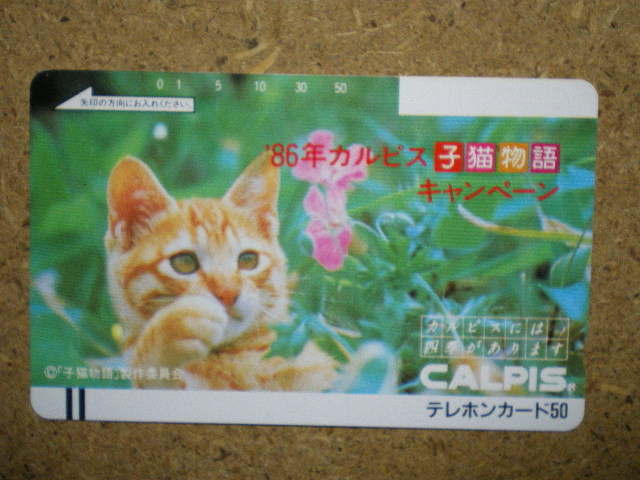 neko・110-5702　子猫物語　カルピス　テレカ_画像1