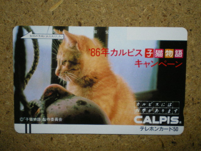 neko・110-5706　子猫物語　カルピス　テレカ_画像1