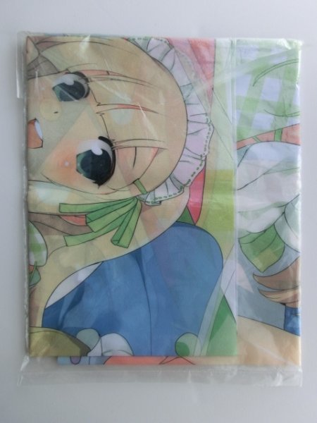 閃乱カグラ 少女達の選択 A1布ポスター 詠&華風流の