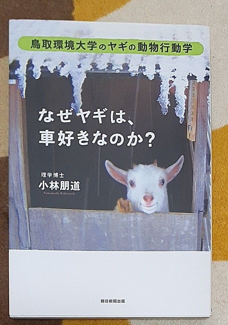 なぜヤギは、車好きなのか？　鳥取環境大学のヤギの動物行動学 小林朋道／著
