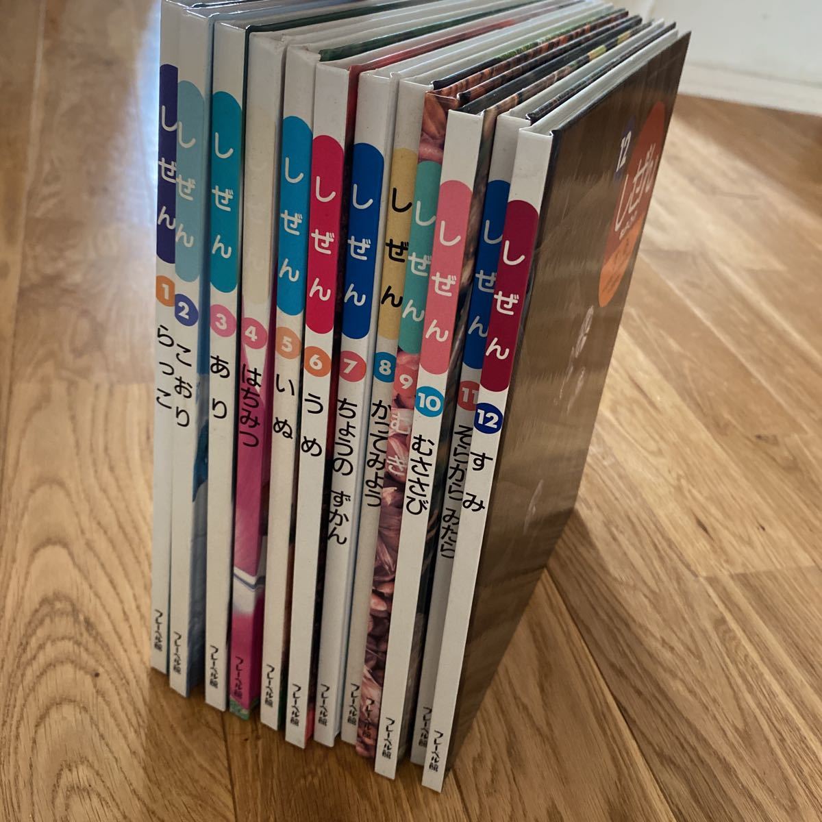 Yahoo!オークション - しぜん キンダーブック 1〜12 まとめて12 Yahoo!オークション - しぜん キンダーブック 1〜12 まとめて12