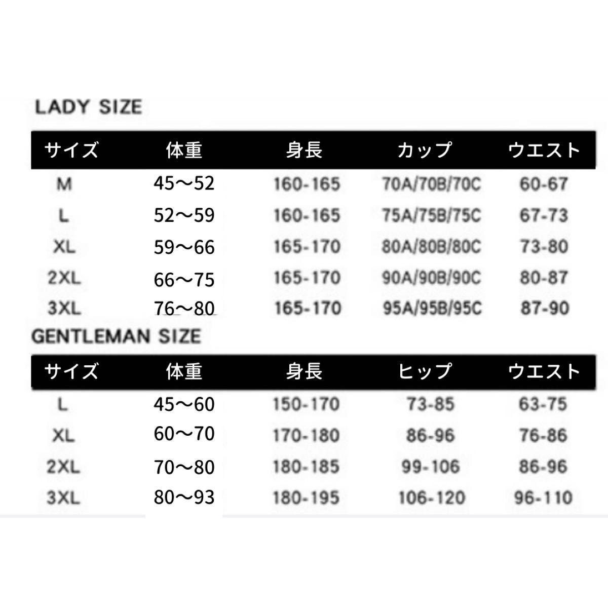 レディース　水着 吸汗速乾 半袖 スポーツウェア トレーニングウェア　ラッシュガード　5点セット　海　川　ジム　ランニング　 長袖