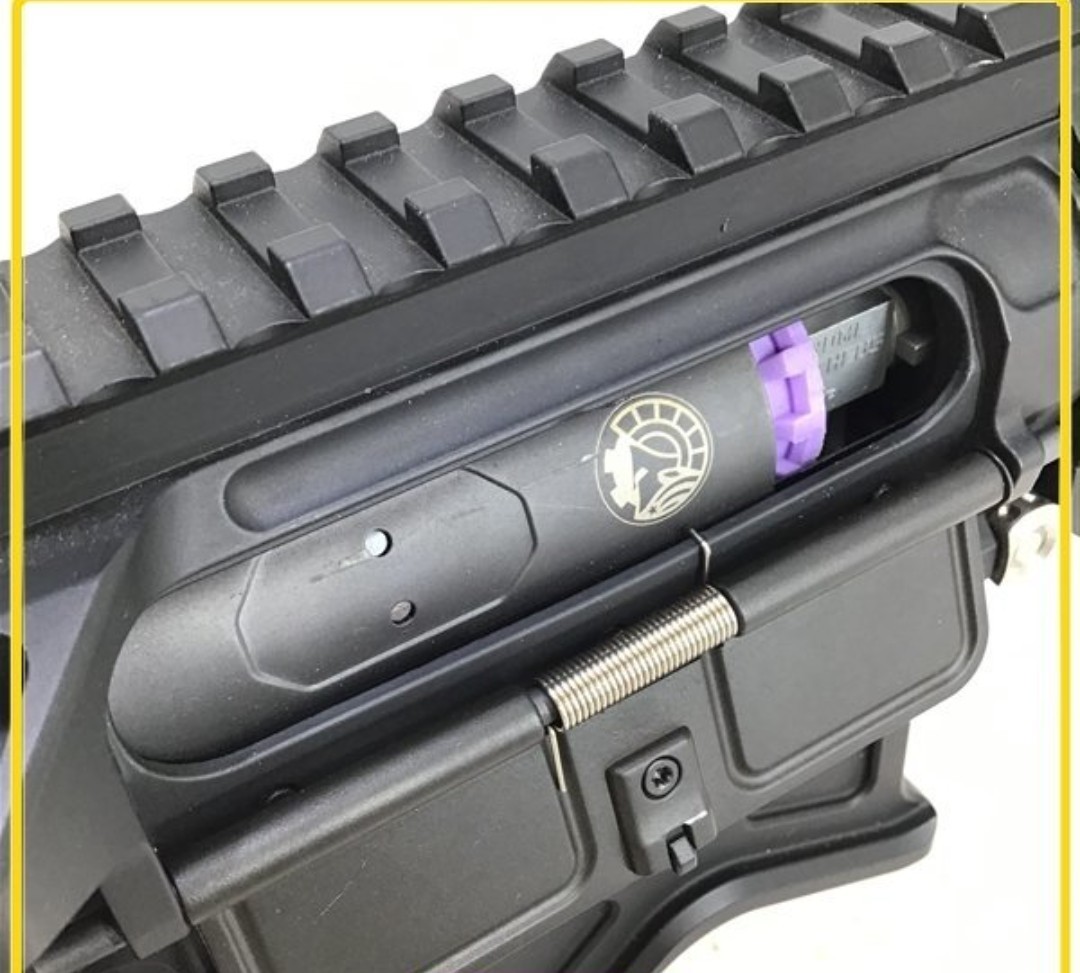 RWA made BATTLE ARMS BAD556 LW electric gun (MATCHCUSTOM) Match custom 